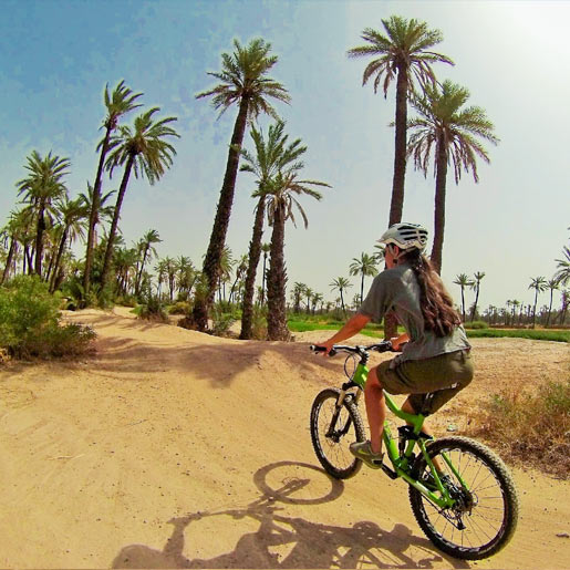Ausflug auf zwei Rädern in Marrakech