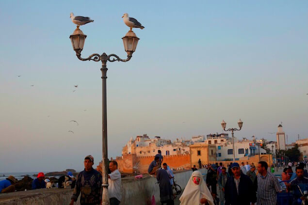 10 Dinge zu tun Essaouira