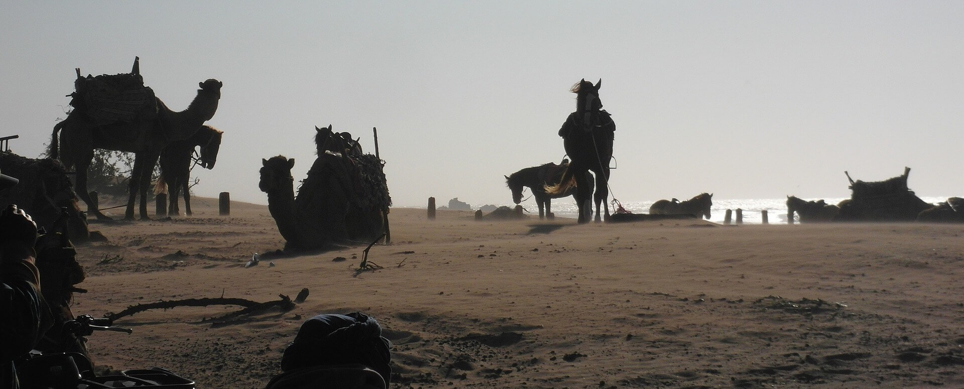 Eine breite Palette von Aktivitäten im Freien - Essaouira