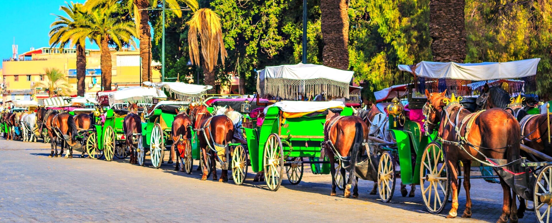 Machen Sie Fotos während einer Kutschenfahrt - Marrakesch