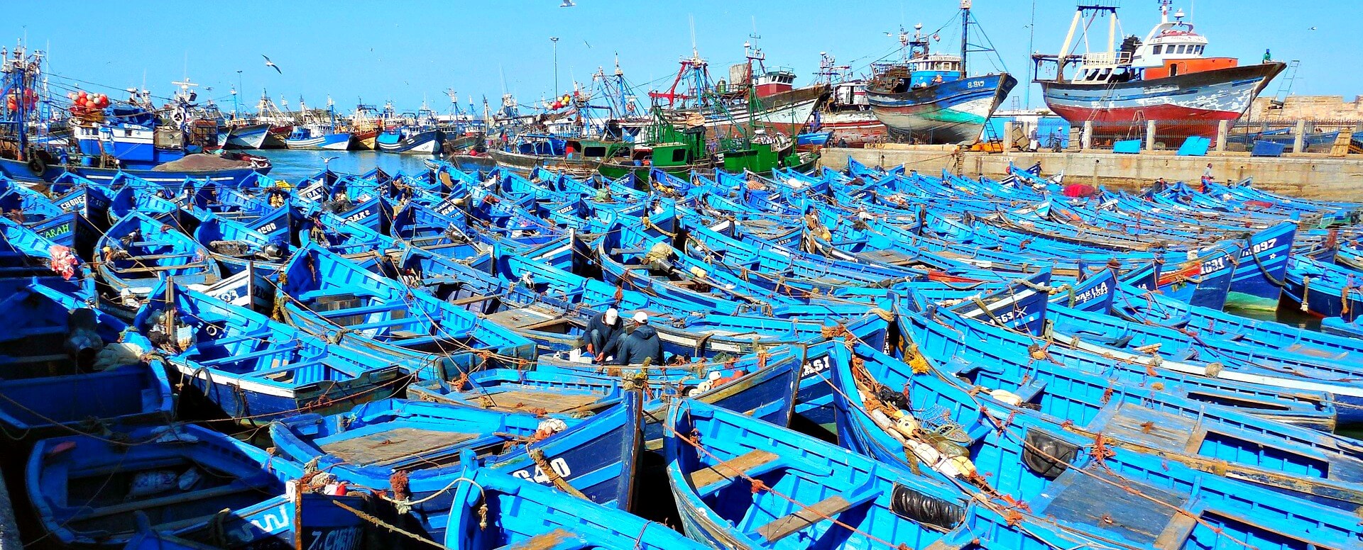 4. Erkunden Sie den Fischmarkt und den Hafen - Essaouira