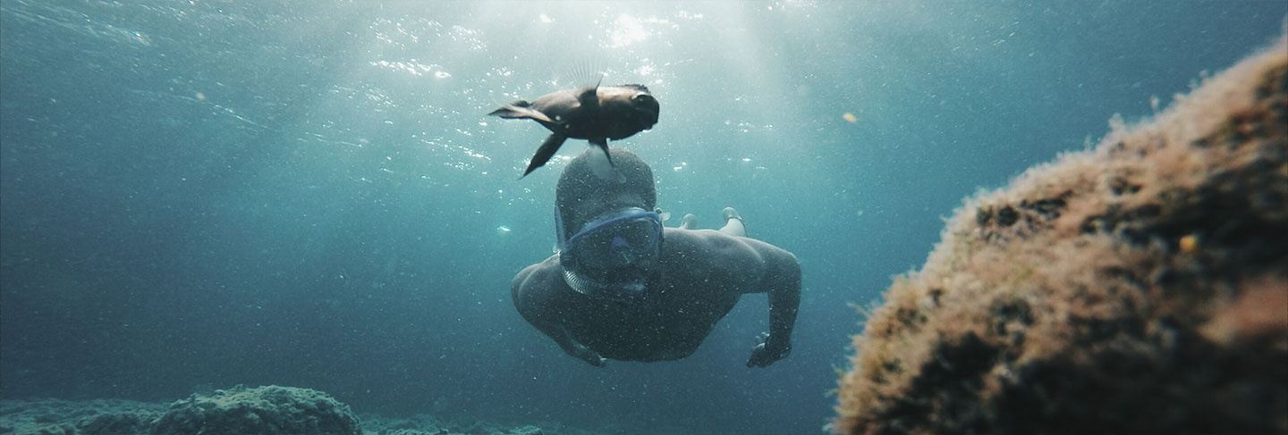 Was man auf Ibiza nicht vermissen sollte - Ibiza