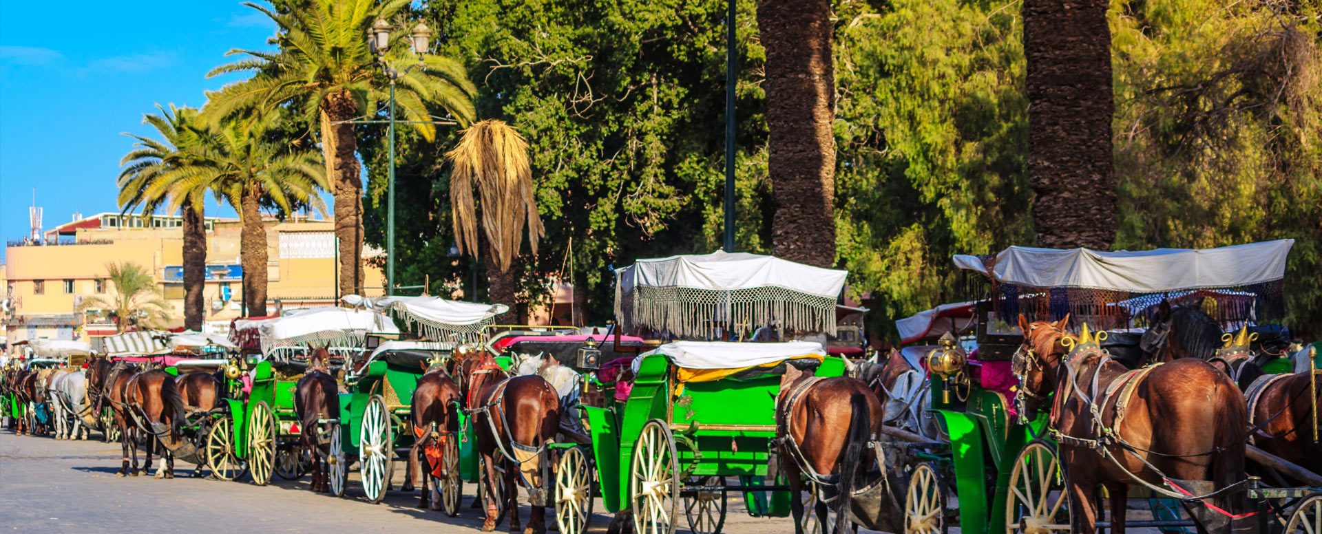 6. Besuchen Sie das Museum von Marrakesch - Marrakesch