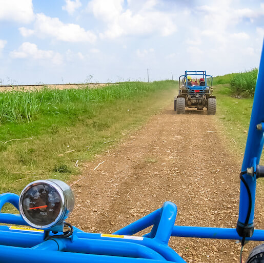 WEG DER ENTDECKUNG