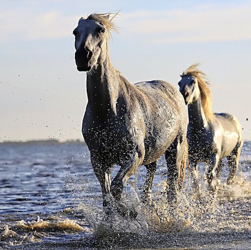 STRAND SPAZIERGANG