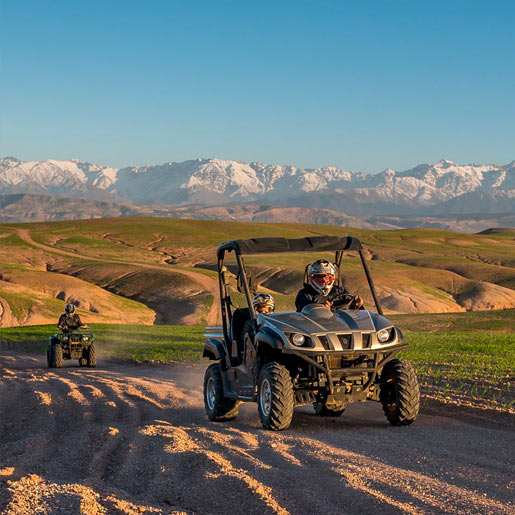 Buggy: Ein wesentlicher Ausflug in die Stein Wüste von Agafy