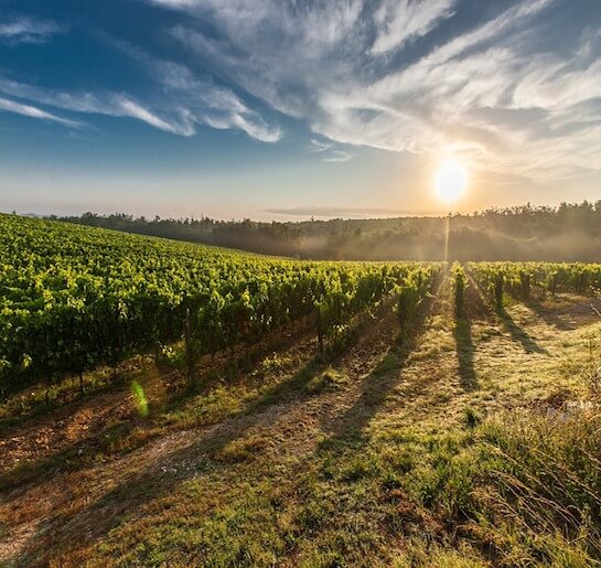 HERDADE DO MALHADINHA NOVA, Beja-Alentejo