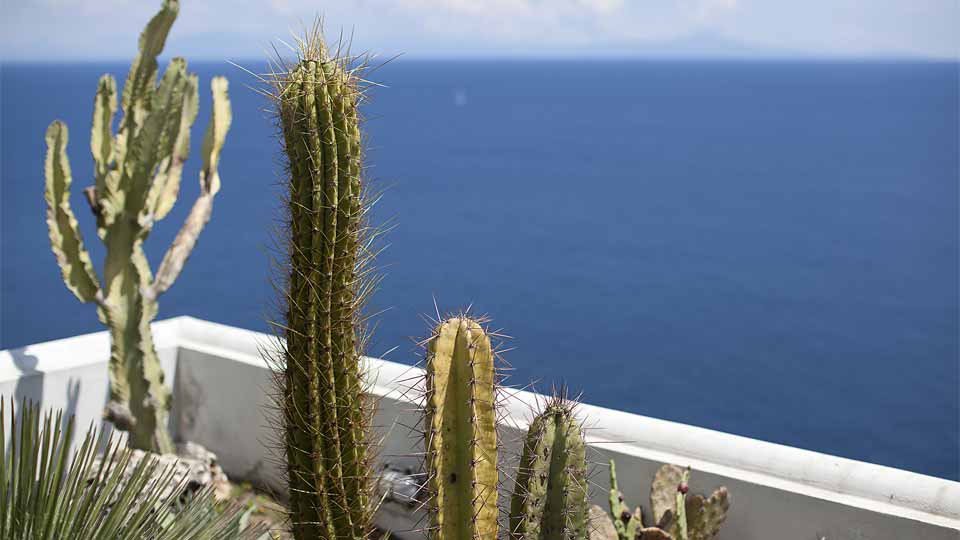 Villa Villa Praiano, Ferienvilla mieten Amalfiküste